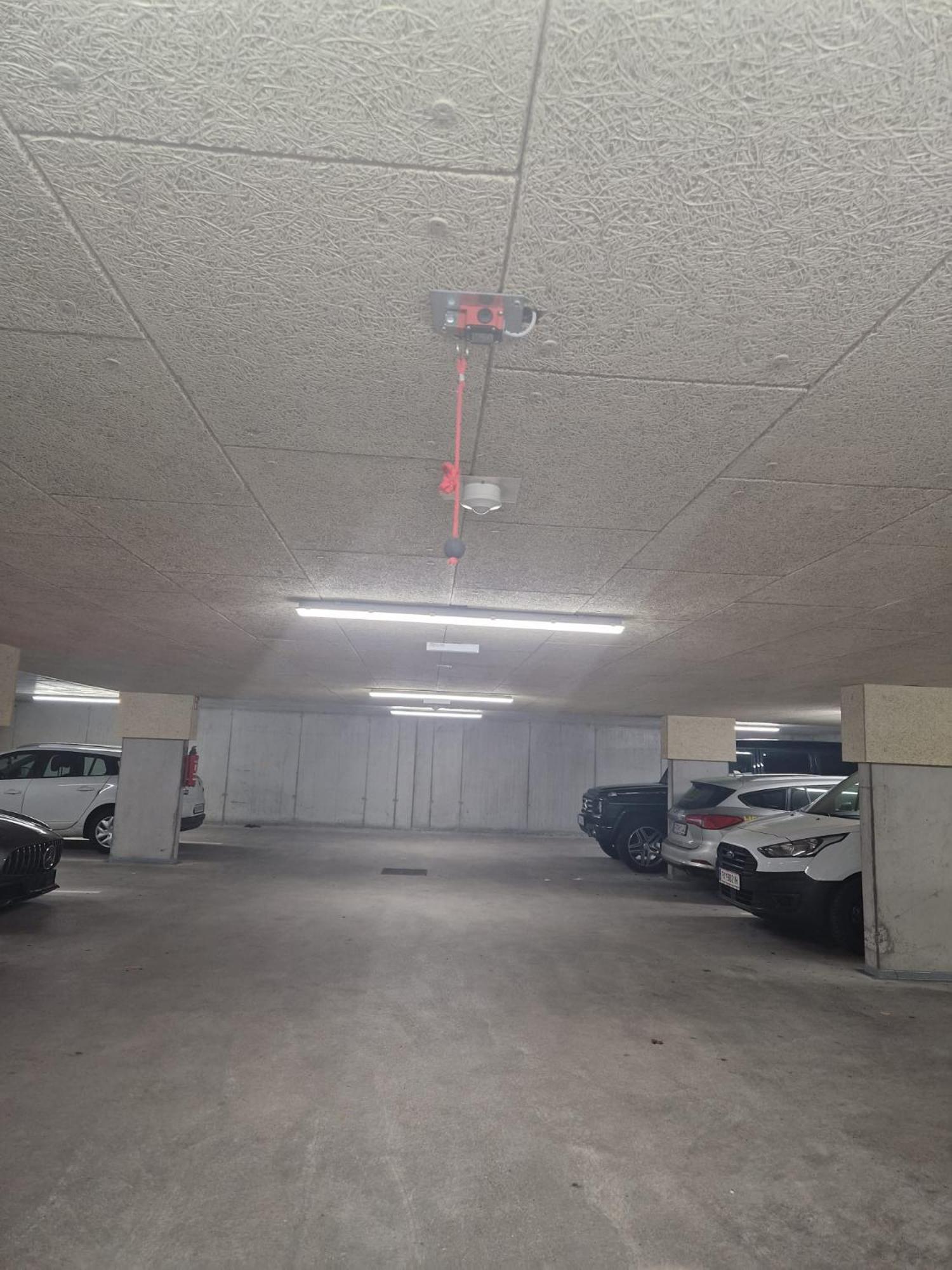 Wohlfuehlapartments In Hard Buitenkant foto